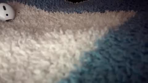 Snapshot of sunflowerxo chatting on September 9, 4:56 am Sofie online show from September 9, 4:56 am