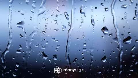 Snapshot of sunnybigboy88 chatting on February 4, 6:58 pm sven online show from February 4, 6:58 pm