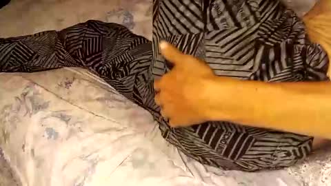 Snapshot of superdavedetailzz2025 chatting on September 19, 6:37 am superdavedetailzz2025 online show from September 19, 6:37 am