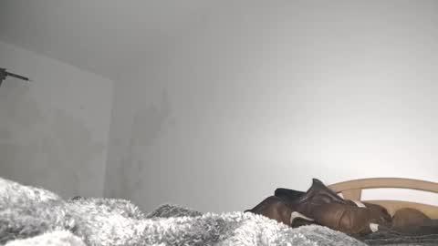 suzuki1250 online show from March 6, 9:06 am