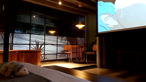 svenseries online show from February 19, 4:44 am