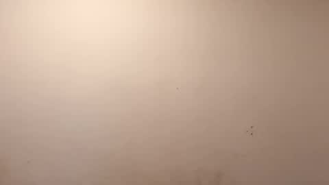 Snapshot of sweaterboy666 chatting on March 10, 11:37 am sweaterboy666 online show from March 10, 11:37 am