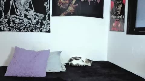 Snapshot of sweet__natashaa chatting on April 6, 9:49 pm Natasha independent modelo online show from April 6, 9:49 pm