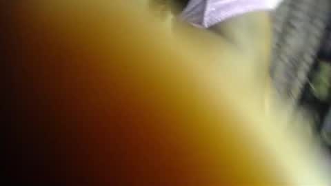 Snapshot of sweet_kush chatting on June 22, 5:15 am Kush online show from June 22, 5:15 am