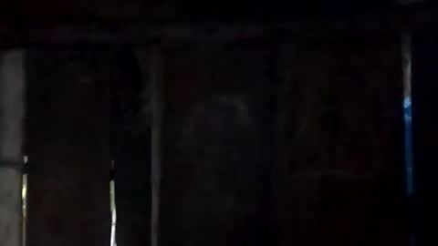 sweet_nessa30 online show from February 10, 6:17 am