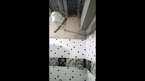 Nhaomy online show from December 19, 8:16 pm