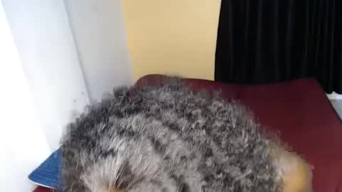 ellanah Tracie online show from September 30, 12:04 am