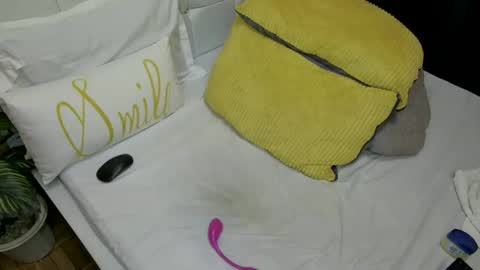 Snapshot of sweet_spoon chatting on December 30, 10:55 pm Nina online show from December 30, 10:55 pm