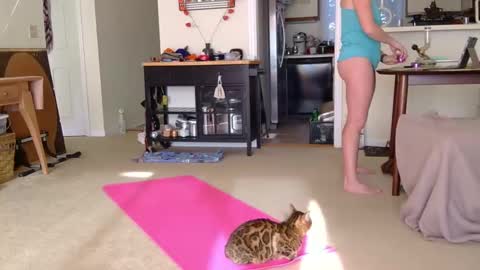 Snapshot of sweet_truffle chatting on October 7, 1:19 pm Heidi Brenner - Please check bio for schedule FAQ online show from October 7, 1:19 pm