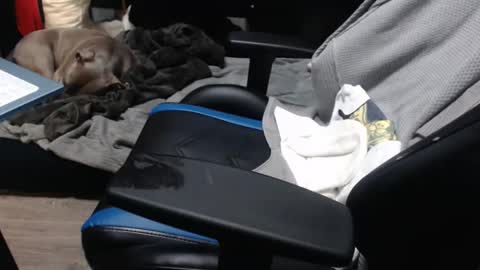 Snapshot of sweetgesus chatting on November 6, 3:57 pm sweetgesus online show from November 6, 3:57 pm