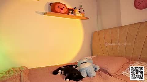 Venus online show from March 17, 7:17 pm