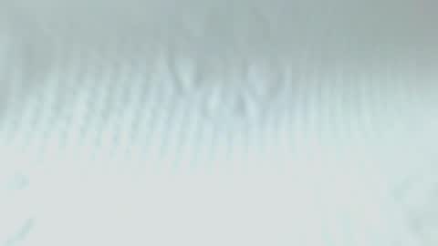 Snapshot of sweetnwildts chatting on May 20, 2:51 am Ghena online show from May 20, 2:51 am