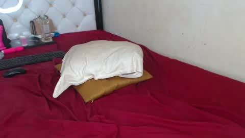 Snapshot of sweetslyvie chatting on July 13, 12:19 pm sweetslyvie online show from July 13, 12:19 pm