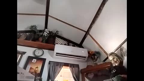 sweetsugar64 online show from February 3, 4:23 pm