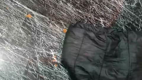 - allen online show from November 8, 7:52 am