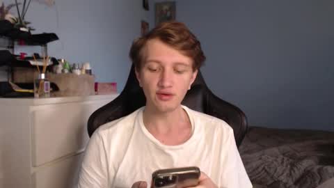 Cat online show from February 8, 8:51 am