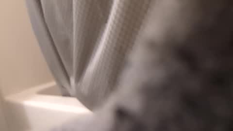 swollpole2112 online show from September 14, 6:12 am