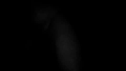 swollpole2112 online show from March 10, 5:01 am