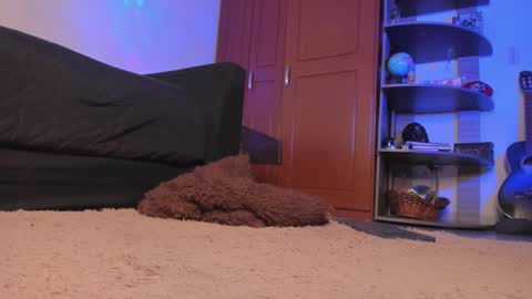 Snapshot of syd_onnfire chatting on December 18, 2:32 am Syd online show from December 18, 2:32 am