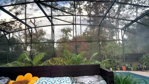 Jennah online show from December 17, 9:43 pm