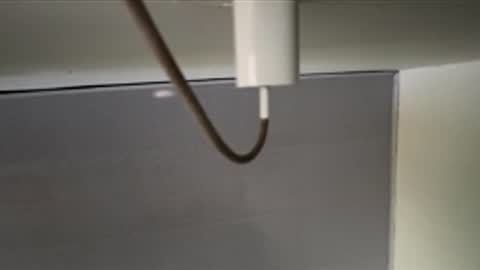 tali  online show from April 8, 12:16 pm