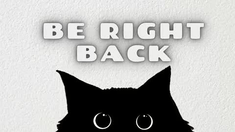 Rousaly online show from February 19, 11:17 am