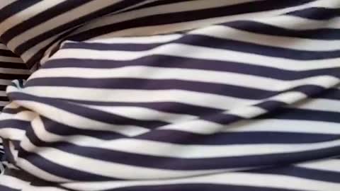 Snapshot of taniya_roy4628 chatting on March 1, 4:14 am taniya_roy4628 online show from March 1, 4:14 am