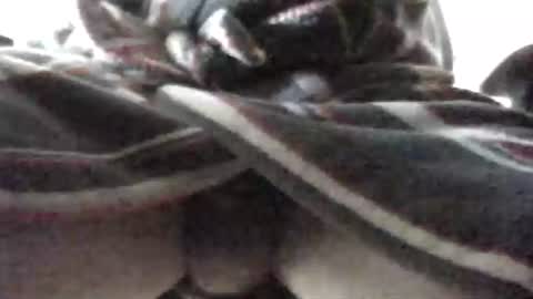 Snapshot of tap_b chatting on February 16, 7:48 am Patrick online show from February 16, 7:48 am