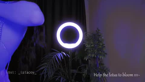 TataCoy online show from October 30, 2:07 pm