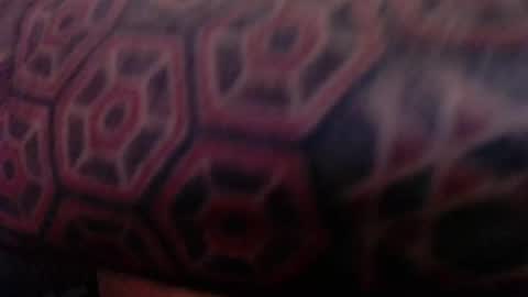 tatted420stoner online show from October 5, 3:27 am