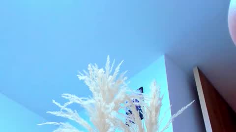 tayler_swift1 online show from February 13, 6:37 pm