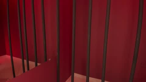 Taylor  online show from December 20, 4:09 am