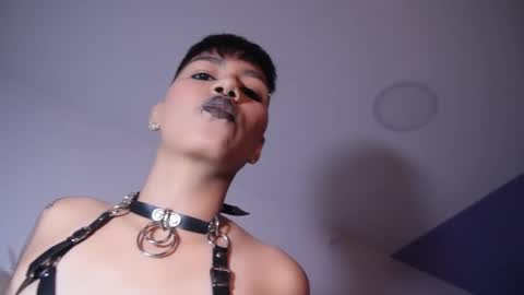 Taylor online show from November 5, 8:09 pm