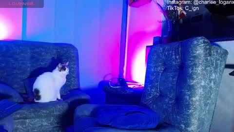 Snapshot of techno_420 chatting on June 7, 2:59 am Charlee He online show from June 7, 2:59 am