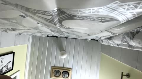 Snapshot of teejm chatting on February 12, 12:33 pm Twizzler online show from February 12, 12:33 pm