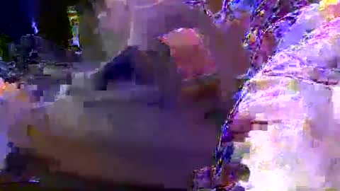 teki80j online show from January 30, 8:11 am