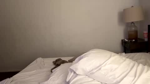 Tennman online show from February 4, 2:43 pm