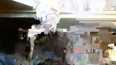 terdy2366 online show from October 7, 3:25 am