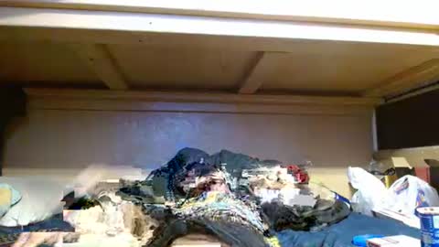 terdy2366 online show from October 23, 6:02 am