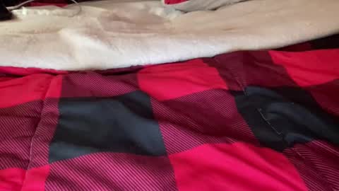 Derick online show from December 6, 6:59 am