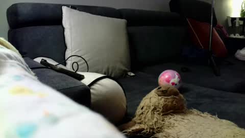 Stephan 34  Cassandra 25 online show from April 8, 9:04 pm