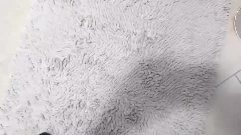 TheOne online show from April 8, 8:42 pm