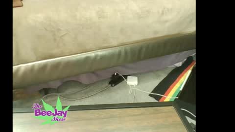 Snapshot of thebeejayshow chatting on May 23, 1:48 pm TheBeeJayShow online show from May 23, 1:48 pm