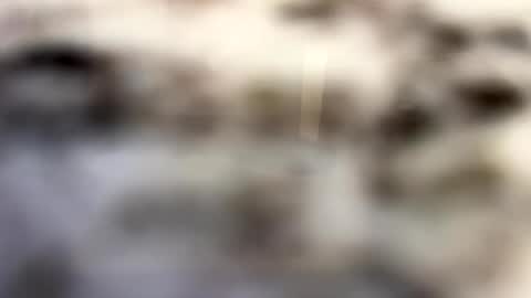 thebodythefeet online show from January 4, 7:23 pm