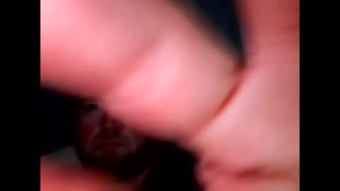 BigDan online show from March 16, 6:34 pm