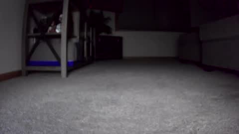 Snapshot of thegreat6268469 chatting on December 24, 10:44 am thegreat6268469 online show from December 24, 10:44 am