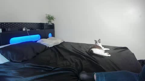 Johnny Stone online show from April 22, 11:39 pm