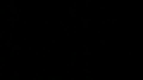 thenewmightyjj92 online show from March 1, 3:08 am