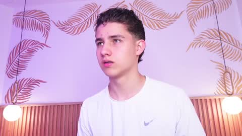 Snapshot of theohawke_ chatting on January 25, 1:52 pm THEO- MATEO online show from January 25, 1:52 pm