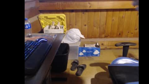 Snapshot of therealbigcheese0695 chatting on October 29, 8:21 pm therealbigcheese0695 online show from October 29, 8:21 pm